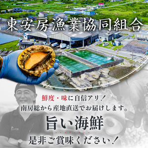 房州産大伊勢えび　約2kg 海老 海産物 海鮮 高級食材 贈答品 mi0014-0004