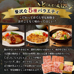 房総ブランド豚（里見和豚）４kg以上　小分け５種　計37パック　 mi0017-0004