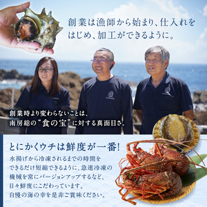 【天然】ボイル冷凍伊勢海老　約100g×8本前後 mi0020-0002