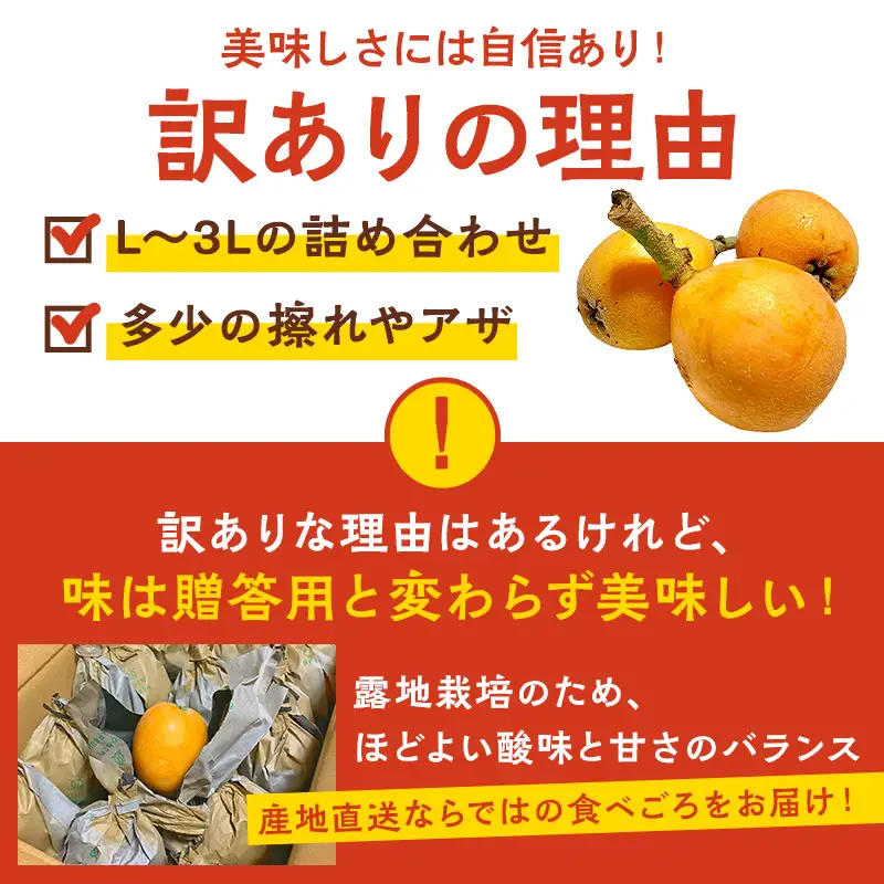 【6月14日決済完了まで受け付け】〈訳あり〉房州びわ(露地栽培) 2kg　詰め合わせ mi0038-0001 枇杷