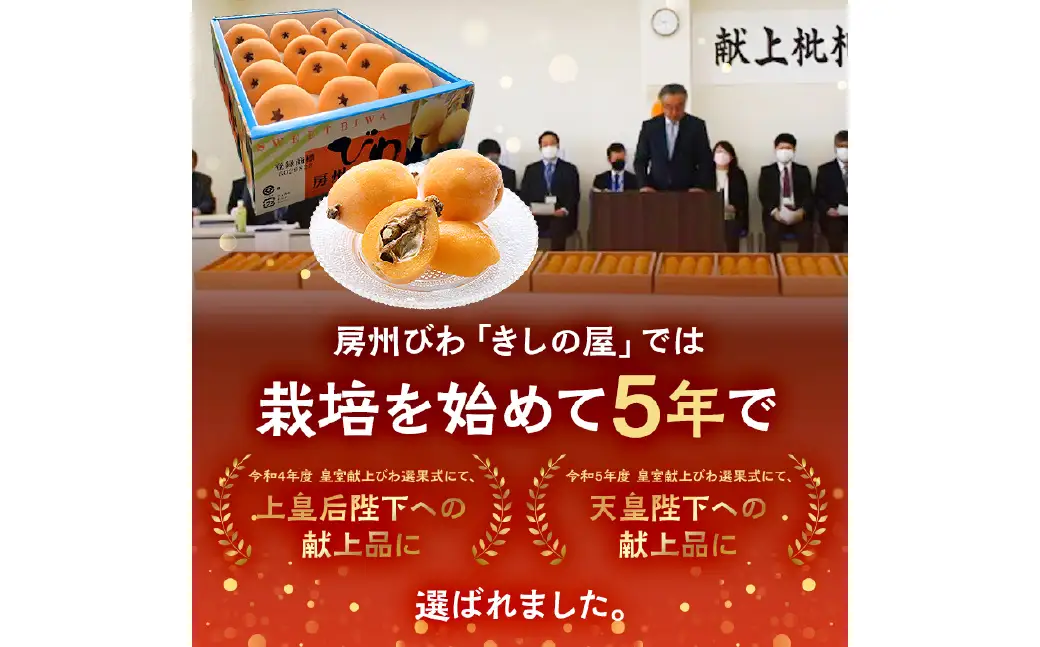 【先行受付 2026年5月下旬～6月下旬発送予定】房州びわ(露地栽培) 2L以上12ヶ入り 1箱 mi0038-0002 枇杷