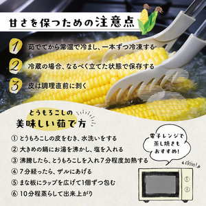 【先行受付 2026年6月中旬～7月下旬発送予定】トウモロコシ（イエローコーン、ホワイトコーンそれぞれ4～5本ずつ）計9本 mi0044-0001 とうもろこし