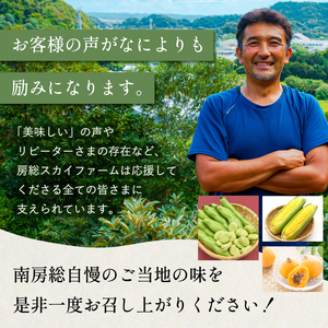 【先行受付 2026年6月上旬～7月中旬発送予定】数量限定！ヤングコーン(ベビーコーン）25本 mi0044-0002 とうもろこし