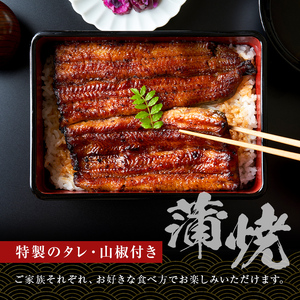 のし対応可能 国産うなぎ 「坂東太郎使用」 蒲焼 3串 大サイズ 130g前後×3串 mi0058-0001 千葉県南房総市 大きい 冷凍 備長炭焼き 惣菜 お取り寄せグルメ 土用の丑の日