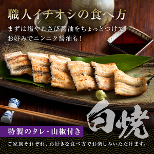  のし対応可能 国産 うなぎ 「坂東太郎 使用」白焼 3串 大サイズ 130g前後×3串 mi0058-0002