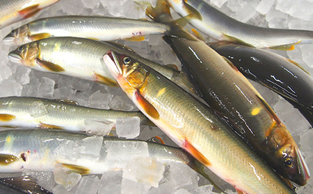 26-489．四万十川天然鮎の風干し（干物）3尾入×3パック（合計9尾）