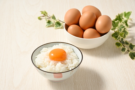 【9ヶ月定期便】料理人も「うまい！」と絶賛 昔の味たまご 20個入り（18個＋割れ補償2個）×9か月| 卵 鶏卵 玉子 たまご 生卵 国産 濃厚 コク 卵かけご飯 旨味 旨み ※着日指定不可