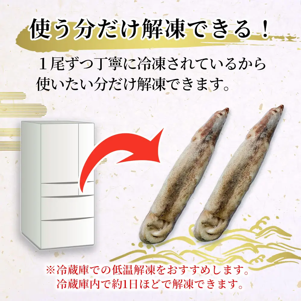 fn-64-002 三陸釜石産 するめいか 大容量パック！10本 約1.5kg 阪神低温