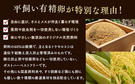 井上さん家 こだわりたまご 平飼い有精卵さがみっこ《かながわブランド認定》10個入り×3パック 計30個｜たまご 平飼い 有精卵