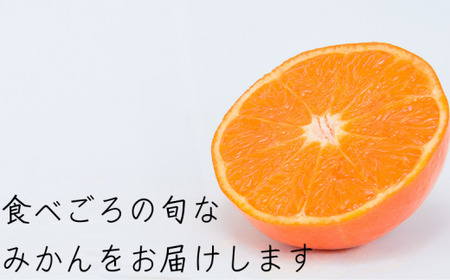 温州みかん 「小粒っこ」 10kg (極早生・早生・中生・晩稲)【2S～3Sサイズおまかせ】【2026年10月中旬～2027年2月下旬までに順次発送】＜味好農園＞/温州 みかん 小玉 蜜柑 柑橘 みかん 極早生 早生 中生 晩稲 小粒 果物 フルーツ 【agy004-s-10】