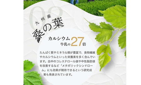 美 腸活 青汁 (3g×30包) 国産 大麦若葉 桑【チョイスジャパン株式会社】A390-v01