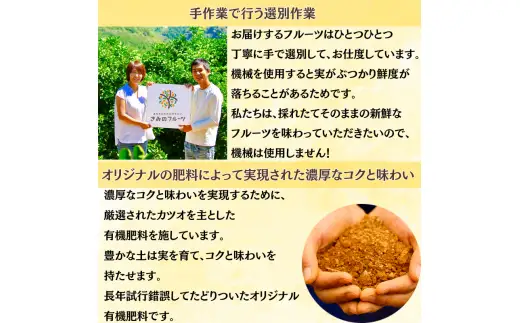  新鮮！はじける食感！「きみのハッサク」5kg サイズ L~2L ご家庭用(秀優混合) /八朔 柑橘 和歌山県 手選別 紀美野町産【kmf021-c-5】