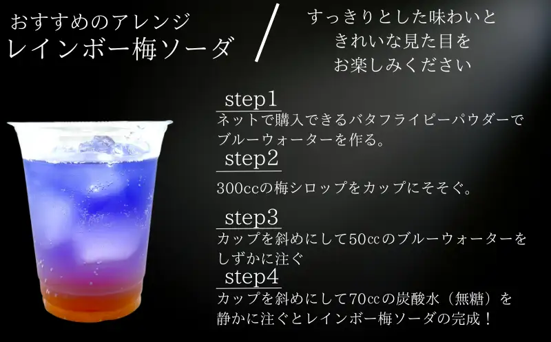  紀州南高梅シロップ　2本セット　化粧箱入り/ウメ 梅ジュース 梅ソーダ ドリンク ※7月下旬から順次発送予定【kmf629-k-2】