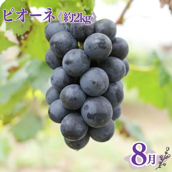 定期便全3回 和歌山の人気の夏のフルーツをお届け！ ［TM204］