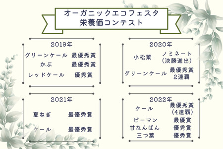 【先行受付・2026年発送】定期便６カ月　ちいさな畑セット（Lサイズ　３～４人前）（NK-T508）