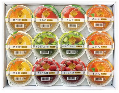 ゼリー ギフト 詰め合わせ 12個 お中元 愛媛県 みかん キウイ 伊予柑 青森産 りんご 山形産 さくらんぼ フルーツゼリー 果物 果汁 果実 フルーツ おやつ デザート 夏ギフト お取り寄せ なめらか 口溶け 子供 大人 国産 食品 送料無料 | B156