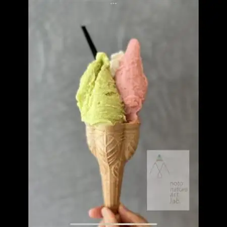 【国内外で数々の受賞歴をもつジェラート店】受賞・まるごと能登ジェラート　8個_菓子・スイーツ アイス・ジェラート  _【配送不可地域：離島】【1421574】