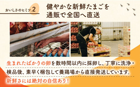 【全3回定期便】白たまご M玉 90個（85個＋5個割れ保証）【株式会社 かもと養鶏】タマゴ 玉子 熊本県 卵 国産 新鮮 しろたまご M玉 濃厚  [ZCA006]