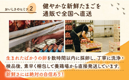 【全12回定期便】赤たまご M玉 90個（85個＋5個割れ保証）【株式会社 かもと養鶏】タマゴ 玉子 熊本県 卵 国産 新鮮 あかたまご M玉  濃厚   [ZCA016]