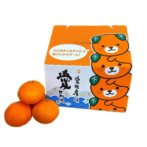 【2026年12月上旬から発送】愛果28号 (紅まどんな と同品種) 約2.5kg 家庭用 | 紅まどんな と同品種  みかん 【TMN105_x】