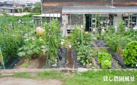 下田ビレッジ農園 半年間（6ヶ月間） ご利用券 体験チケット 愛知県 貸し農園 肥料完備 道具完備 ロッカー完備 野菜作り 畑 貸農園チケット レンタル レンタルファーム 