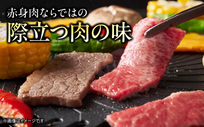 牛肉 宮崎牛 ウデ・モモ 赤身 焼肉 1kg 牛肉