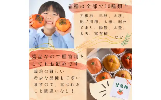 旬の 柿 詰め合わせ 3kg 特秀 / 詰め合わせ かき 甘い 太秋柿 紀ノ川柿 富有柿 早秋柿 3kg 珍しい 希少 和歌山産 ※2026年10月上旬～11月下旬に順次発送【frt504-p-tume-3】