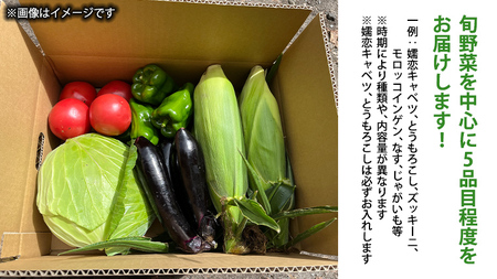 【 8月下旬発送開始 】 嬬恋キャベツ と旬の 高原 野菜 セット 1～2人 様向け [AK001tu]