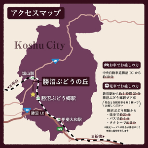 勝沼ぶどうの丘・ワインカーヴのテイスティング用「タートヴァン引き換え券」1名分（KBO）B-654