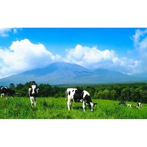 浅間のヨーグルト酒【お酒 さけ アルコール ギフト おすすめ 浅間酒造 群馬県 長野原町 北軽井沢】
