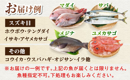 【五島列島直送】朝獲れ鮮魚セット2kg 五島市/鯛福丸水産[PDP008]  鮮魚 セット 冷蔵 魚 海鮮 直送 さかな 詰合せ