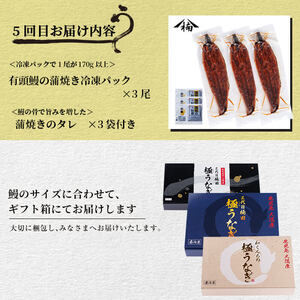 【定期便全5回】うなぎ2.1kg！5ヶ月間うなぎが楽しめる定期便！鰻 うなぎ ウナギ 鰻 蒲焼き かばやき きざみ鰻 刻みうなぎ 国産 九州産 鹿児島県産 冷凍 レンジ 簡単 うな丼 ひつまぶし 惣菜 おかず 頒布会 おつまみ 薬味 t0098-001