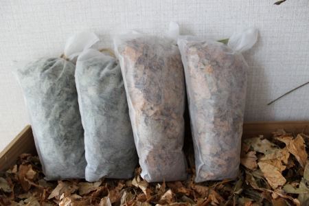 クロモジ葉シューズデオドライザー（靴用消臭乾燥剤）セット（スイートブラウン・フレッシュグリーン）