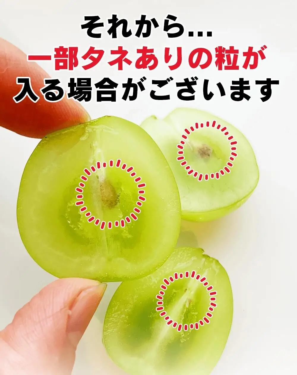 【2026年先行予約】訳あり シャインマスカット 家庭用 約2kg（4~6房）※最低1.8kg以上 | シャインマスカット