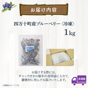 【数量限定】 冷凍ブルーベリー 1kg ／Qdr-91 冷凍 ブルーベリー