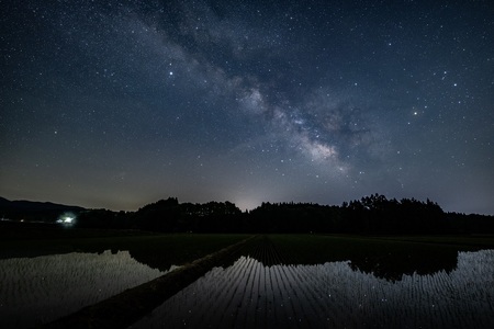 SIGMA 14mm F1.4 DG DN| Art【Lマウント】