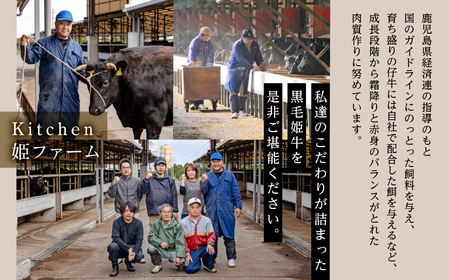【定期便】焼肉・しゃぶしゃぶ・すき焼きセット（全3回）【Meat you Kitchen姫ファーム】