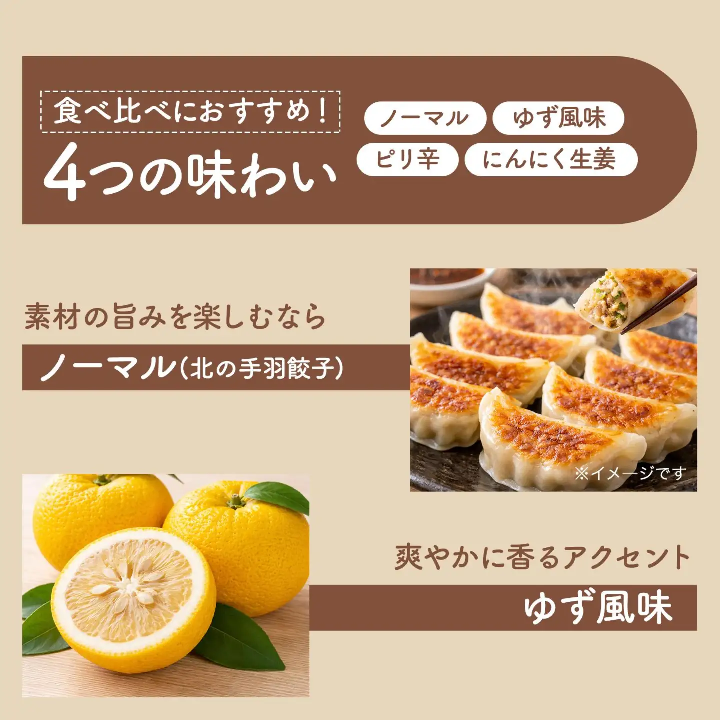北海道産鶏肉を使った手羽餃子【北の手羽ぎょうざ】15個セット(5個×3袋)≪配送地域限定≫ a136-001【53101】
