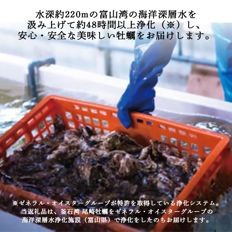 fn-42-001 ＜6月～7月頃にかけて順次発送予定＞【海洋深層水仕込み】釜石湾・尾崎牡蠣 10個セット  日本かきセンター