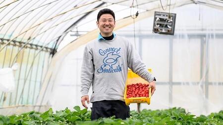 やよいひめ (2パック)　特大・デラックスサイズ（茨城県共通返礼品／常陸太田市）  [DY013sa]