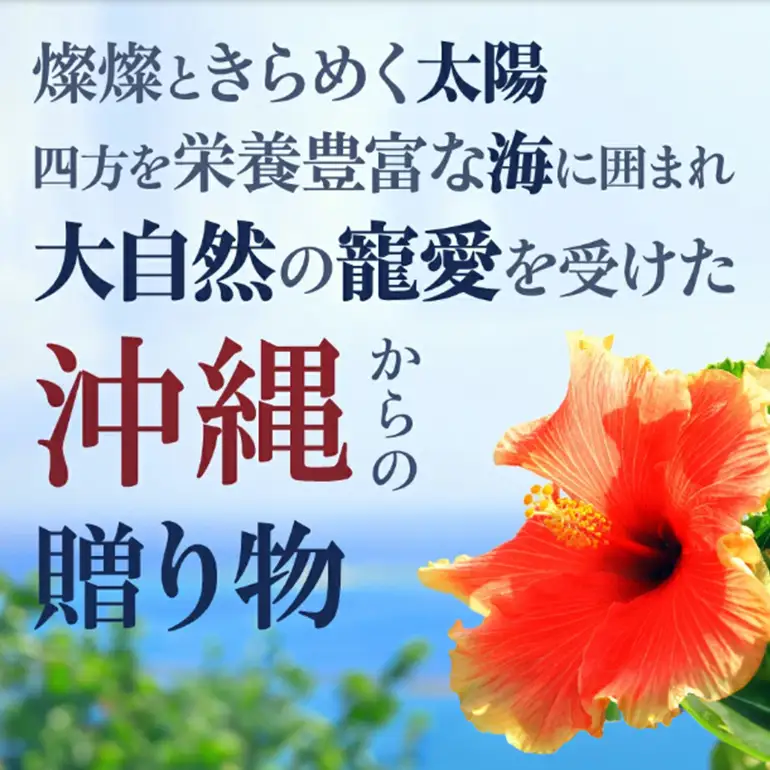【金秀バイオ】琉球 フコイダン プラス 90粒 3袋セット 90日分 (約 3ヶ月 分) サプリ サプリメント 鉄分 ビタミン ビタミンC 食物繊維 クエン酸 アミノ酸 沖縄 もずく 海藻 もろみ酢 健康食品 生活習慣病 予防 免疫力 健康 対策 食品 沖縄県 糸満市
