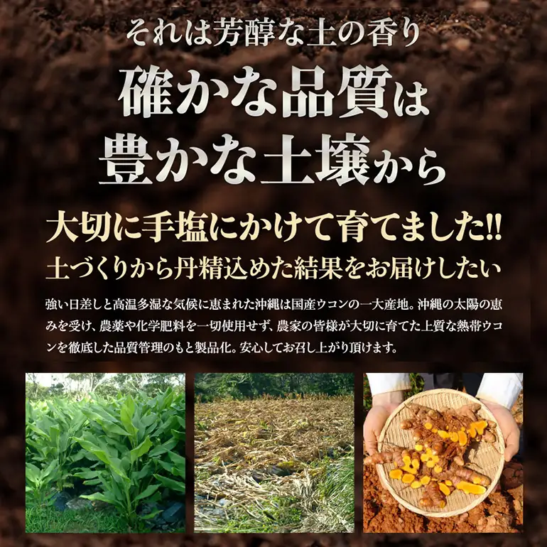 【金秀バイオ】沖縄県産 熱帯 ウコン 90粒 2袋 セット 60日 分 (約 2ヶ月 分) サプリ サプリメント 熱帯ウコン 春ウコン 紫ウコン 栽培期間中農薬・化学肥料不使用 クルクミン ビタミンC ビタミン 国産ウコン 姜黄 キョウオウ 国産 沖縄県 糸満市