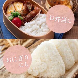 【12回定期便】令和7年産きぬひかり 5kg×12回 定期便 精米 【sml430-kinu-5x12】