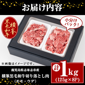 鹿児島県志布志市産横峯黒毛和牛の切り落とし肉(計1kg・125g×8P) 鹿児島県産 国産 牛肉 牛 スライス 切り落とし 焼き肉 希少牛 小分け モモ ウデ バーベキュー BBQ すき焼き しゃぶしゃぶ c9-002