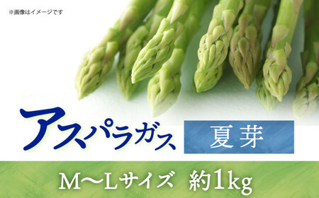 【先行予約】アスパラガス (夏芽) 約1kg 【2026年7月初旬〜9月中旬発送分】《小値賀町》【ながさき西海農協小値賀地区園芸部会】 [DAT005]