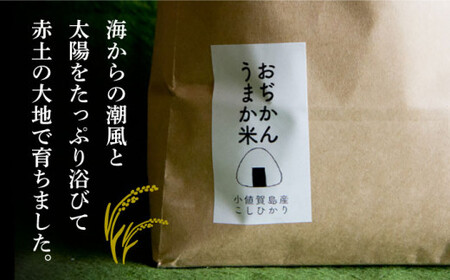 【令和7年度産】おぢかんうまか米（小値賀町産こしひかり 5kg ・精白米） [DAB014] コシヒカリ