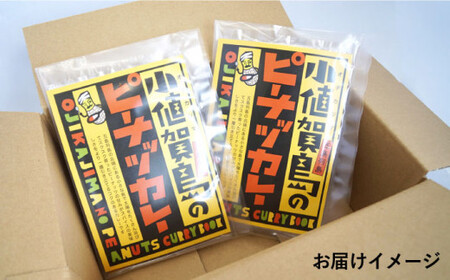 島のピーナッツカレー スパイスキット 2セット [DAA021] カレー ミールキット 落花生 ピーナッツ