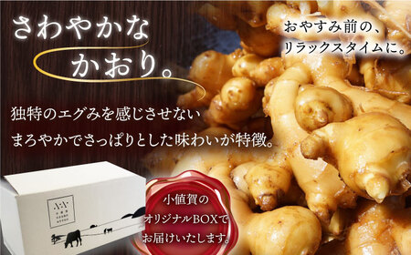 【3回定期便】HAO！ジンジャーシロップ 160g×2   [DAA016]