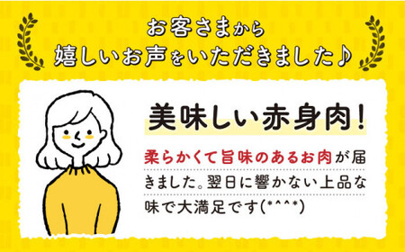 【3回定期便】A5赤身 長崎和牛 [DAR033] 赤身 長崎和牛 国産 和牛