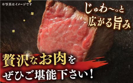 【3回定期便】長崎和牛A5特選 サーロインステーキ 250g×4  [DBJ015] 牛肉 焼肉 ステーキ 